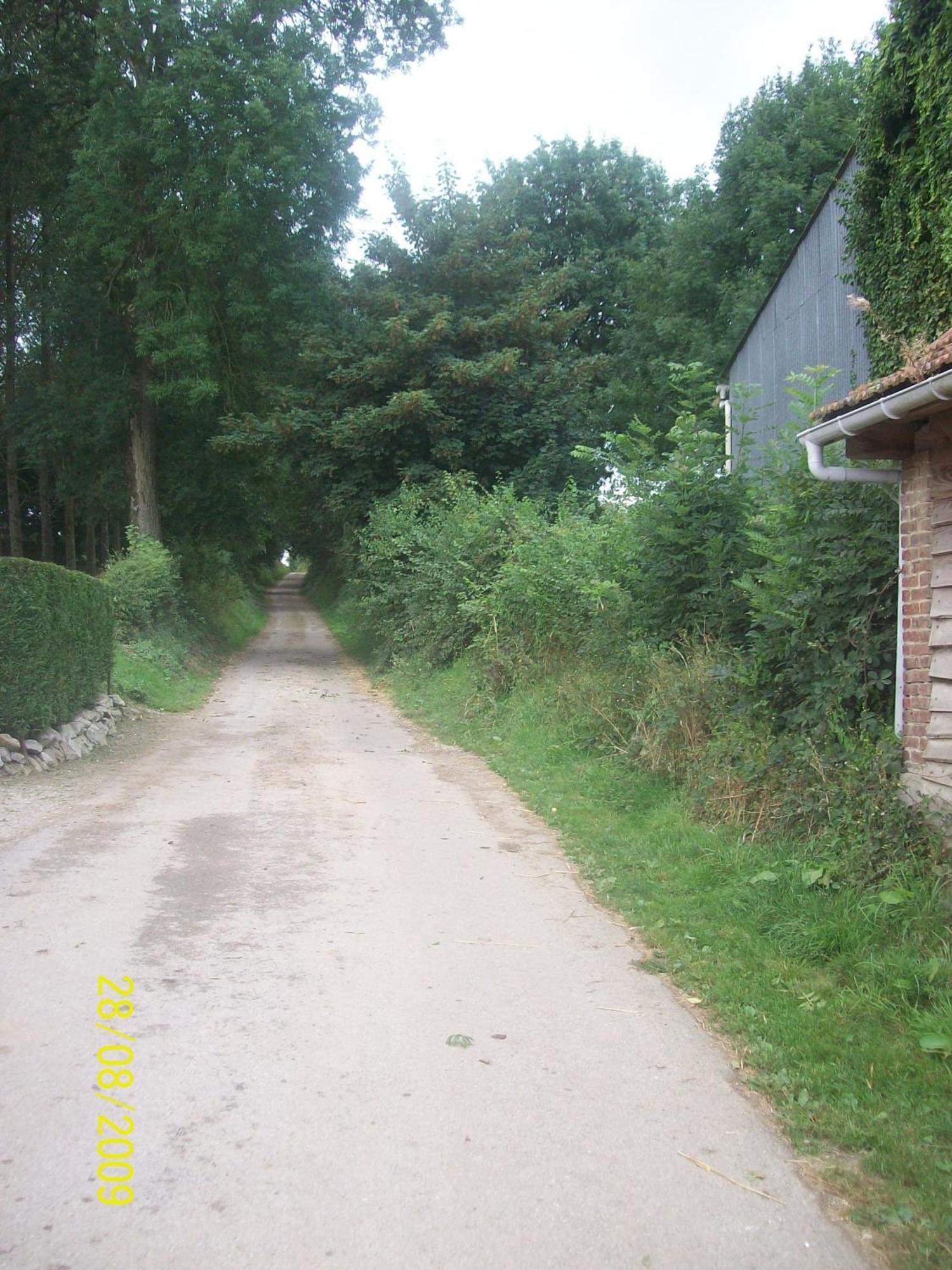 Chambres et Table d'Hôtes Les Trois Marquets Bourthes Exterior foto